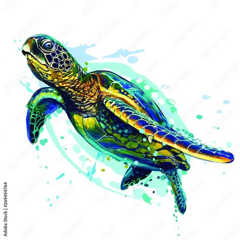 How To Draw A Realistic Sea Turtle