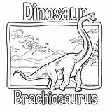 Brachiosaurus Dinosaur Coloring Book / Page By SCWorkspace  TPT sketch template