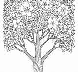 Trees coloring Pages  Printable For Kids sketch template