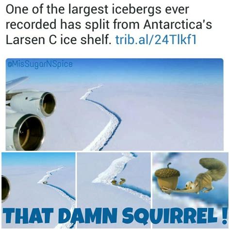 Memes, LarsenC, A68, Ice Age, Scrat, Squirrel, Nut, Crazy, Movie, Iceberg, Iceshelf, Antarctica ...