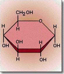 This is a monomer of a carbohydrate. Examples of these monomers could be simple sugars such as ...