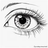 Eyes Coloring Page For Kids sketch template