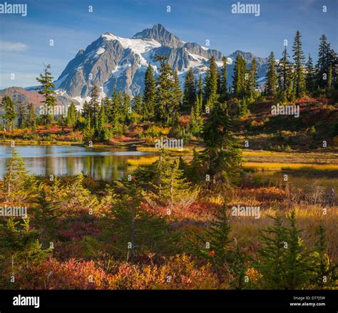 Mount Baker-Snoqualmie National Forest, WA: Fall color at Picture Lake ...