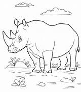 Wild Animals For Coloring Pages sketch template