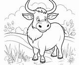 Ox Coloring Pages – Coloring Corner sketch template
