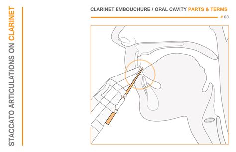 Articulation Types for Clarinet- Kornel Wolak – The Clarinet [Online]