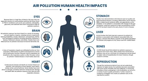 Effects Of Air Pollution On Human Health