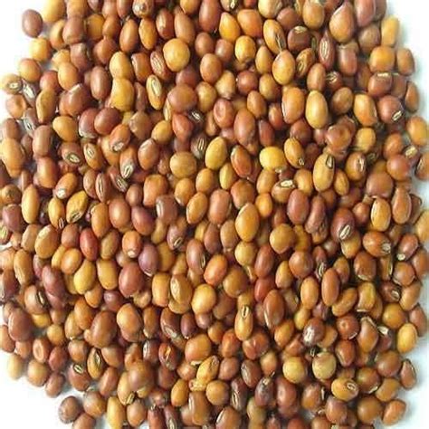 Red Gram Seeds at Rs 120/kilogram | Gram Seed | ID: 13858803588