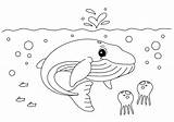 Premium Vector  Children coloring Book whale page sketch template