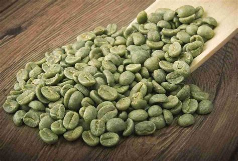 Green Coffee Beans 100gm – Satvyk