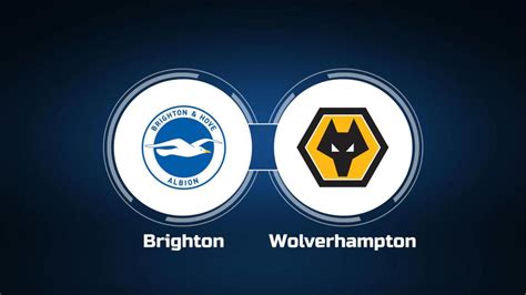 How to Watch Brighton & Hove Albion vs. Wolverhampton Wanderers: Live Stream, TV Channel