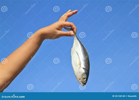 Hand Holding Fish Stock Photo - Image: 35138140