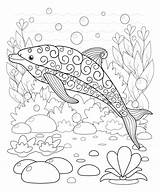 Free DOLPHIN Coloring Pages Your Kids Will Love Download Printable  sketch template