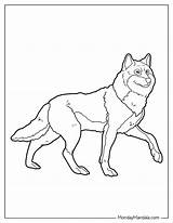 26 Wolf Coloring Pages Free PDF Printables sketch template