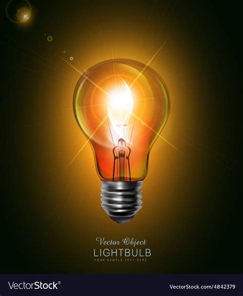 Light bulb glowing in the dark Royalty Free Vector Image