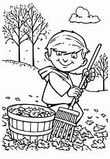 Coloring Leaves Raking Clip Clipart Pages Fall Autumn Rake Cliparts Man  sketch template