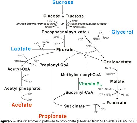 Figure 2 from Propionic acid production by Propionibacterium sp. using ...