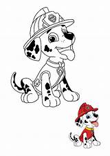 Coloriage Pat Patrouille Marcus  4 Coloriages à Imprimer Gratuits 2021 sketch template
