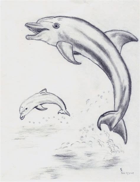 Dolphin Jumping Drawing at PaintingValley.com | Explore collection of ...