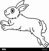 Jumping Rabbit Isolated Coloring Page For Kids Stock Vector Image & Art  sketch template