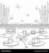 Coloring page With pond Inhabitants And Plants Vector Image sketch template