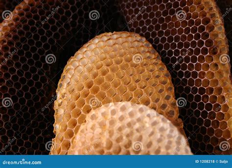 Bee Hive Royalty Free Stock Photos - Image: 1208218