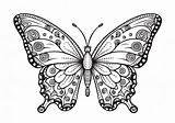 Papillon — Coloriages Gratuits à Imprimer sketch template