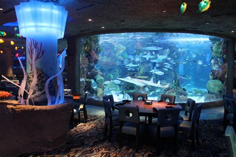 Tennessee: Aquarium Restaurant - mediafeed