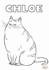Chloe From the Secret Life Of Pets coloring Page  Free Printable sketch template