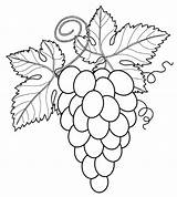 20  Grapes Coloring Pages Free Printable PDF & Online sketch template