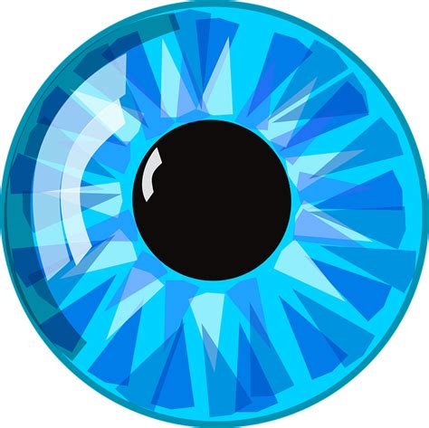 Free vector graphic: Eye, Blue, Pupil, Eyeball, Iris - Free Image on Pixabay - 23753