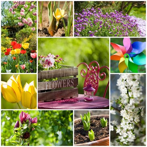 Spring collage stock image. Image of image, pink, plant - 28794139