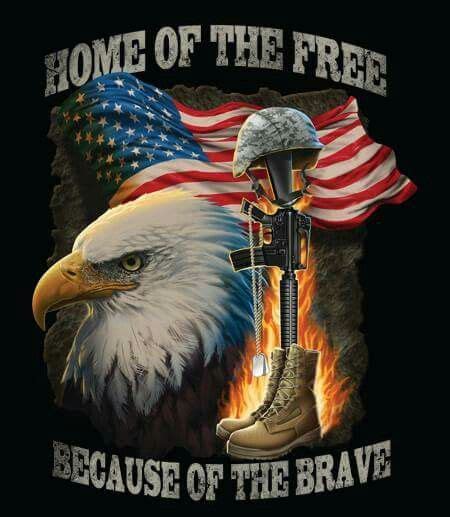 Land of the free home of the brave wallpaper - zabap