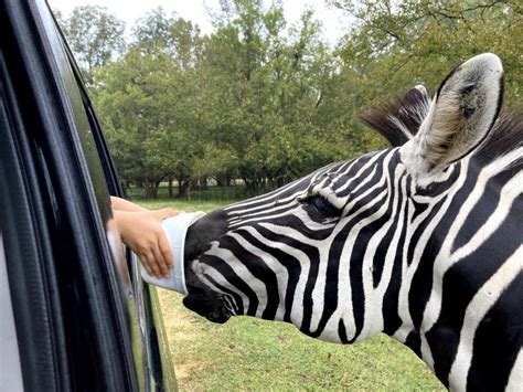 Believing Any Of These 10 Myths About park Keeps You From Growing ...