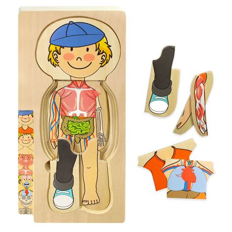 Buy Kidzlane Wooden Human Body Puzzle for Kids and Toddlers | 29 Piece ...