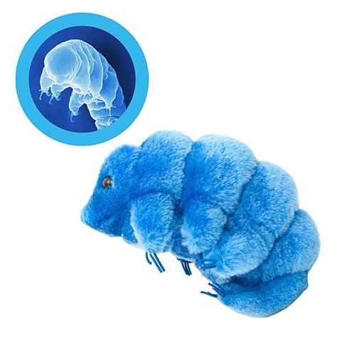 Giant Plush Microbes | Giant plush, Plush microbes, Cute stuffed animals