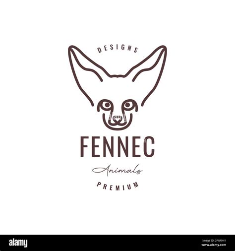 fennec fox big ear face line minimal hipster logo design vector Stock Vector Image & Art - Alamy