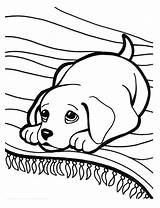 Puppy Coloring Pages  Best For Kids coloring sketch template
