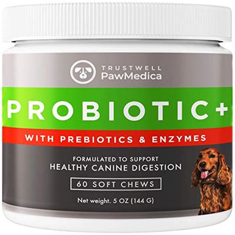 Top 10 Best Probiotics For Dog With Yeast Infection Guide – Cchit.org