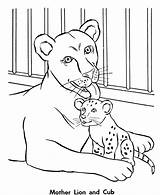 Zoo Coloring Pages  Kids sketch template