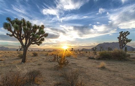 National Conservation Lands of the California Desert | Bureau of Land ...