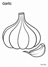 Garlic Coloring Pages Free Printable PDFs  WakeTheKids sketch template