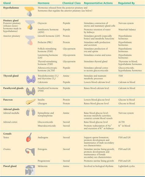 Rozaini Othman (Guru Cemerlang Biologi): Major Human Endocrine Glands and Some of Their Hormones