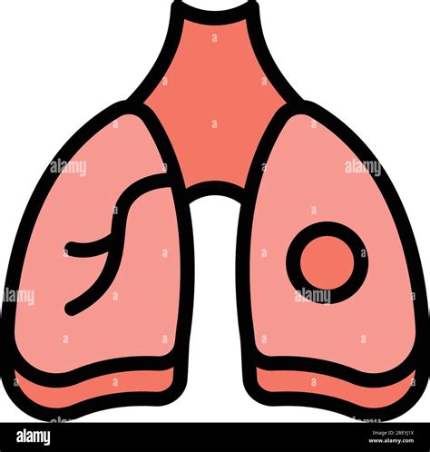 Lungs mri image icon outline vector. Xray machine. Anatomy body color flat Stock Vector Image ...