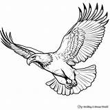 Eagle Bald Coloring Pages Kids Drawing Patriotic Head Printable Easy  sketch template