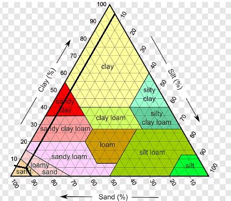 Label the Following Items Next to the Correct Soil Texture.