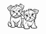 Teacup Yorkie Coloring Pages Sketch Page sketch template