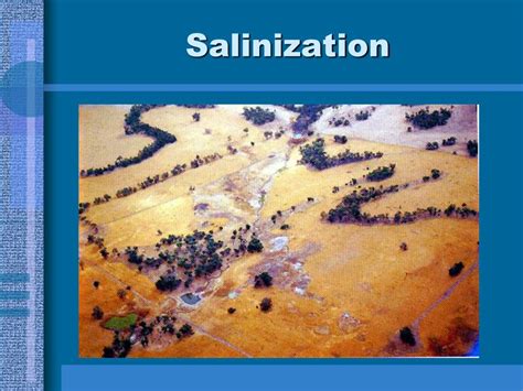 PPT - Topic 3.8.3 Describe three stages of soil formation PowerPoint Presentation - ID:3044719