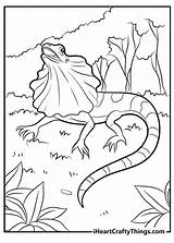 15 Free Lizard Coloring Pages Printable Cute Realistic PDF sketch template