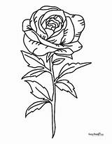 Roses Coloring Pages sketch template